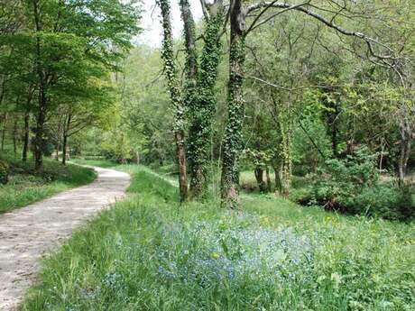 Sentier de Ropenard