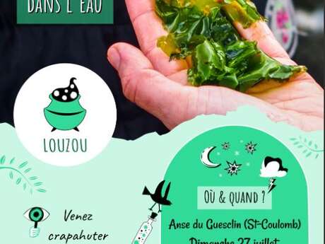 Sortie Louzou - Les pieds dans l'eau - Découvrir les algues de l'estran