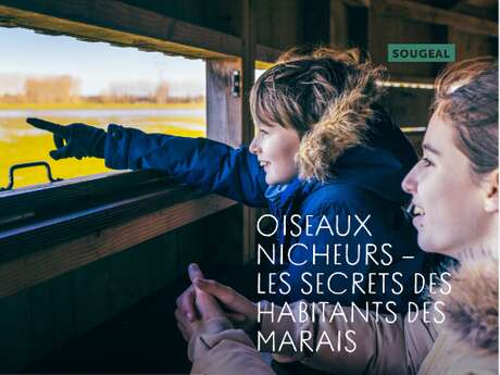 Echappées Baie : Oiseaux nicheurs – Les secrets des habitants des marais