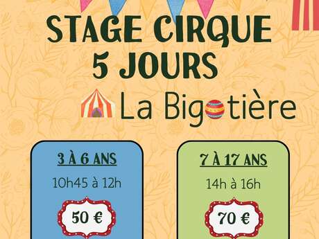 Stage cirque