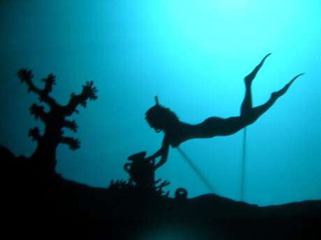 Initiations au théâtre d’ombres