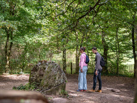 Balade Contée : Sur les traces de Merlin
