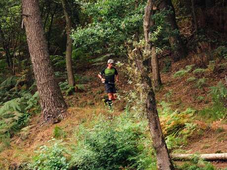 Circuit trail n°7 - Tour des Landiers du Loup