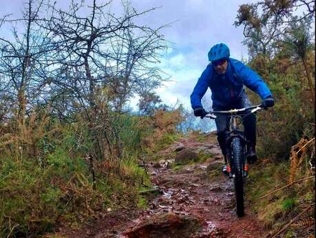 Circuit VTT de l'orée pourpre de Brocéliande n°12