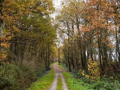 Voie verte de Teillay à Guipry-Messac