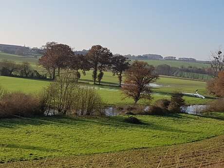 Vieux chemins et bords de Seiche n°5