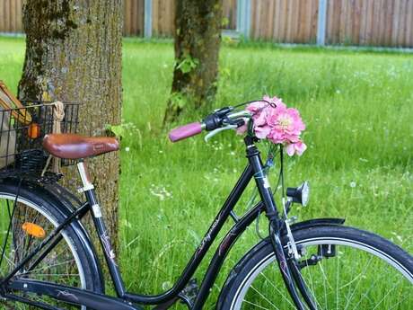 L'échoppe du deux roues