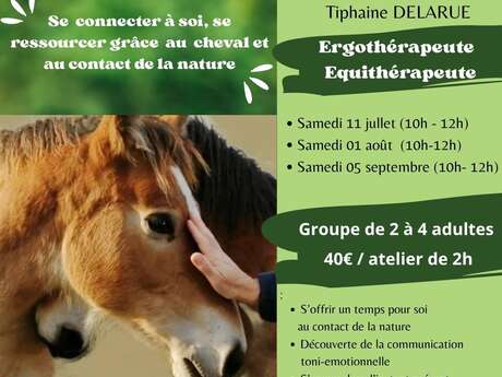 Atelier d'éveil corporel avec le cheval (adultes)