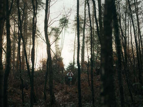 Loup, y es-tu ? - Trail