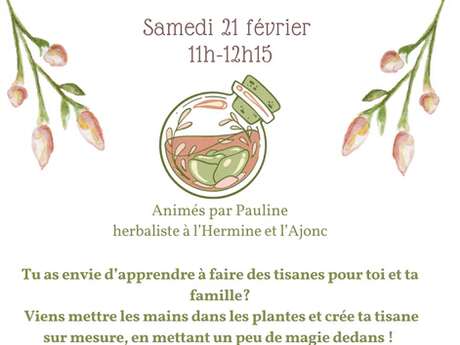 Les ateliers potion en famille