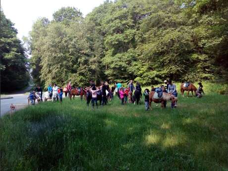 Centre équestre et poney club de mi-forêt