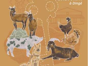 Enquête à la ferme