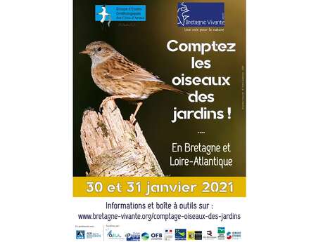 Comptez les oiseaux de vos jardins Comptez les oiseaux de vos jardins
