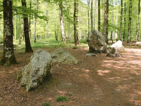 Circuit des Vieux Châteaux