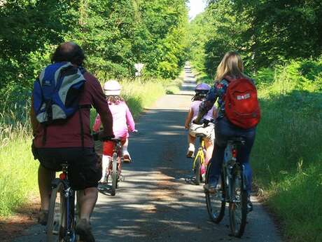 Vélo Promenade® n°5 Chemin des grands chênes