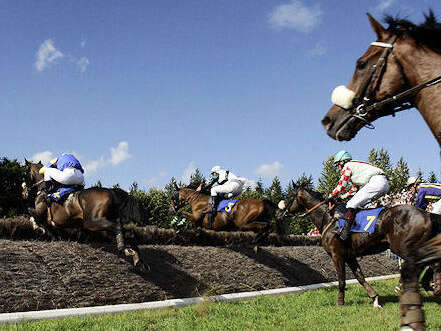 Courses hippiques à l'hippodrome de Saint-Étienne de Vitré.