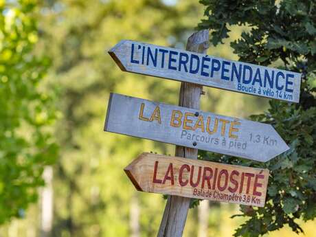 La Curiosité - Les 4 Saisons de La Chapelle-Bouëxic