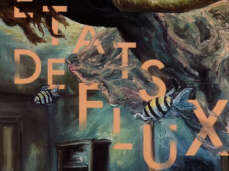 États de Flux, peinture contemporaine