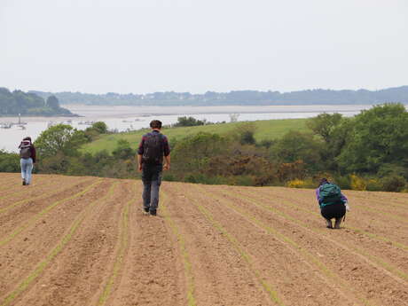 Exposition "Il y a 6000 ans le long de la Vilaine"