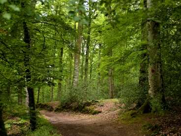 Sentier des Petits Monuments