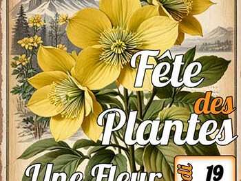 Fête des Plantes : une fleur en hiver