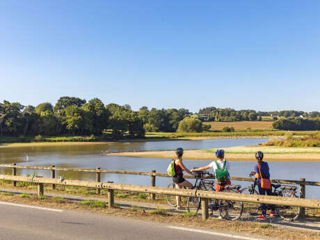 V409 - La Régalante