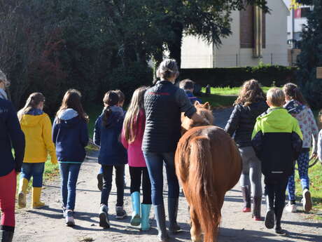 Matinée au Haras Matinée au Haras