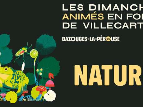 Dimanche animé - Nature en forêt