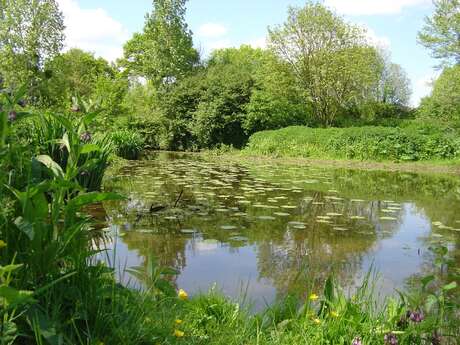 Le site naturel de Pasdavy à Servon-sur-Vilaine