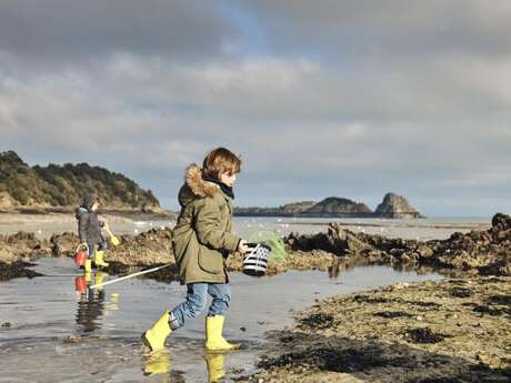 Z’atelier des petits en bord de mer