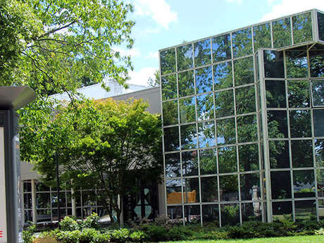 Galerie Pictura