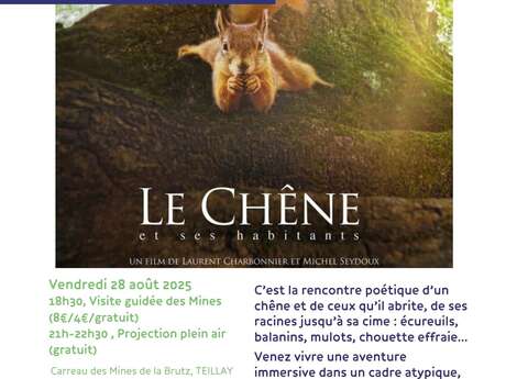 Projection Plein Air " Le Chêne, et ses habitants"