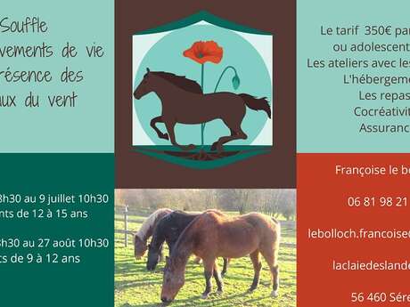 Les chevaux du vent Les chevaux du vent