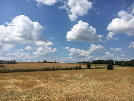 Randonnée de Faye-la-Vineuse