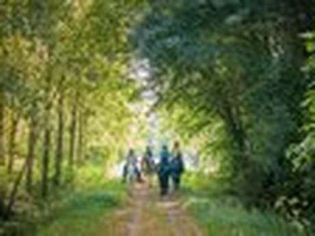 Liaison forêt de Chinon via Rigny-Ussé
