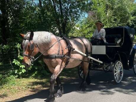 Gargantua en calèche