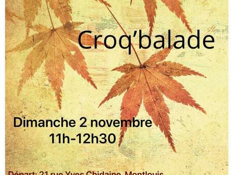 Croq'balade : observez et dessinez la nature