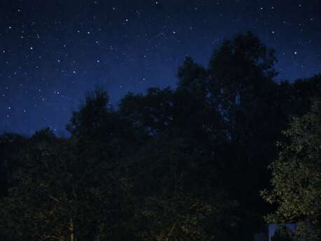 OBSERVEZ LES ÉTOILES