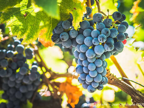 "La familliale" au Château de l'Aulée