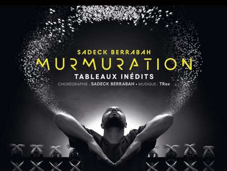 Sadeck Berrabah : Murmuration level 2