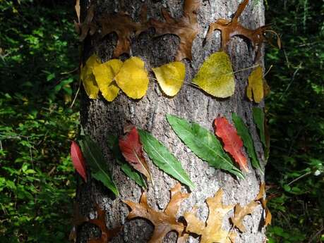 LAND ART DES TOUT PETITS