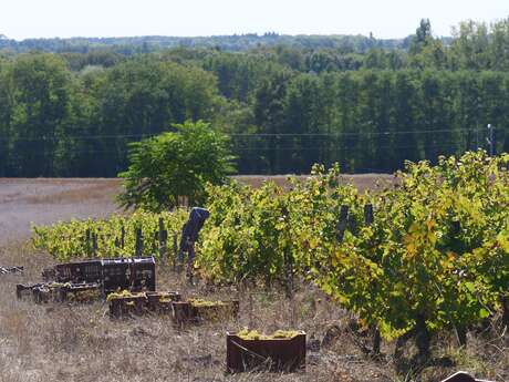 Domaine de Montoray