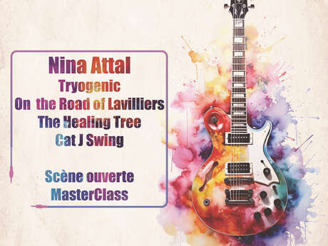 Festival GUITARE EN CHER