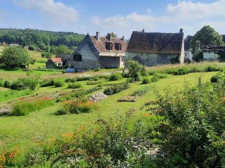 Patrimoine et savoir-faire : Bléré et La ferme des 3 tilleuls