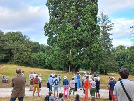 RDV Aux Jardins 2026 - Visite éclair du parc du château du mortier à Monnaie