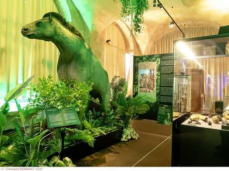 Visite guidée de l'exposition La Touraine Tropicale