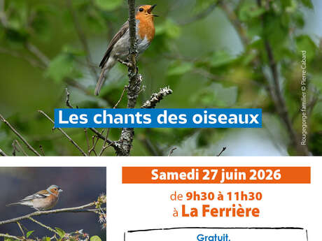 Les chants d’oiseaux