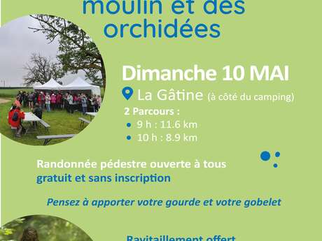 Randonnée du moulin et des orchidées