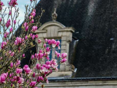 Château, parc et jardins d'Azay-le-Ferron