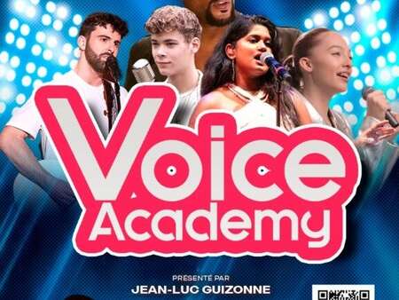 Story voice academy
